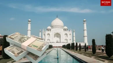 Taj Mahal ticket revenue