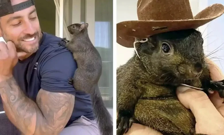 The murder of social media star squirrel Pnut has become a topic of political debate in America