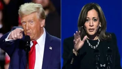 Donald Trump or Kamala Harris ahead in swing states in America