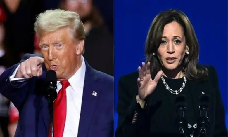 Donald Trump or Kamala Harris ahead in swing states in America