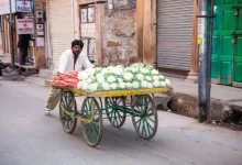 Vegetable vendors have to display names on carts in Najafgarh vegetable market