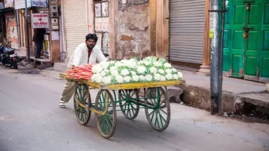 Vegetable vendors have to display names on carts in Najafgarh vegetable market