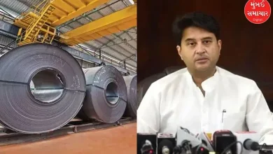 What did the Union Minister say about resolving the problem related to steel imports?