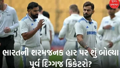 What did veteran cricketers say about India's embarrassing defeat?