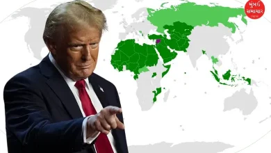 Win of Donald Trump,what muslim countries media says