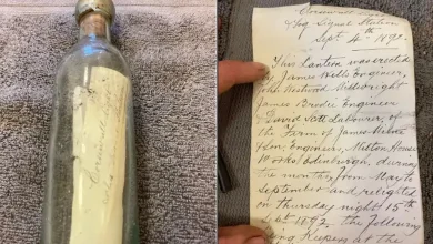 Something like this was found in a bottle buried in a wall for 132 years, which blew the engineer's mind away...