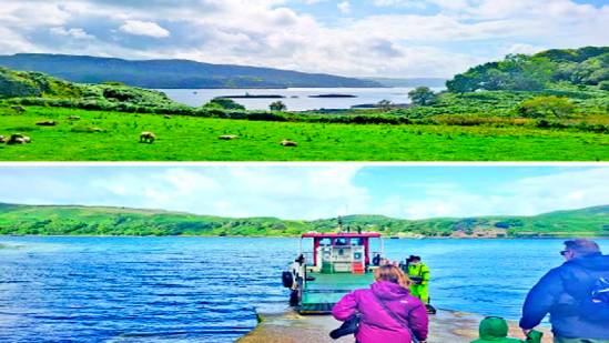 carrera racing event on the island of sheep and cows