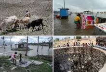 climate change took 3200 lives in 9 months india