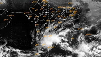 Cyclone Fengal set to make landfall in Tamil Nadu on Nov 29