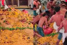 villagers loot 3020 kgs of annakoot at dakor temple