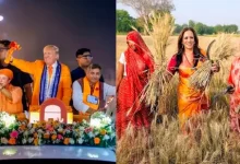 A different view of the US election in India: Kamala Harris harvested the field, Trump ate on the terrace