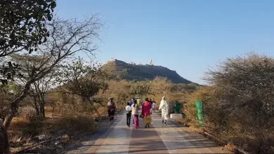 "Jai Adinath" Giriraj Yatra to begin tomorrow on Shetrunjay Parvat