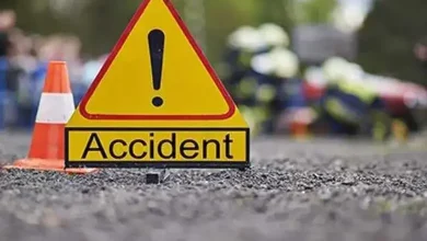 Four killed in accidents in Kutch