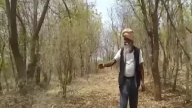 Special: 11 years, 40 thousand trees, meet the tree-man of Chitrakoot!