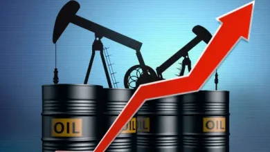 Chart showing rise in domestic and imported oil prices