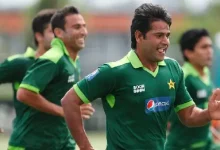 aaqib javed and jason gillespie during a cricket match