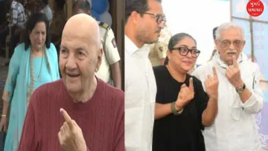 From Prem Chopra to Gulzar voted, appealed to everyone to vote