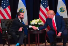 el salvador president nayib bukele congratulates trump on election win