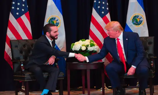 el salvador president   nayib bukele congratulates trump connected  predetermination  win