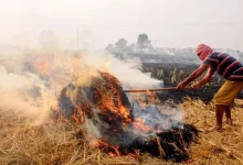 Capital 'pollution', Punjab 'suffers' from 'stubble burning'