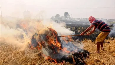 Capital 'pollution', Punjab 'suffers' from 'stubble burning'