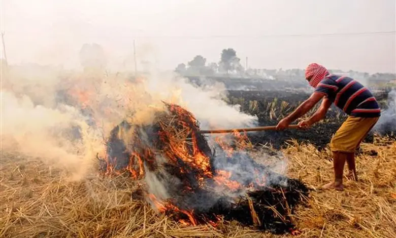 Capital 'pollution', Punjab 'suffers' from 'stubble burning'