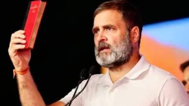 rahul gandhi faces backlash over lal kitab remark