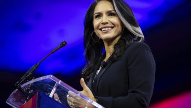 Tulsi Gabbard smiling in a formal setting