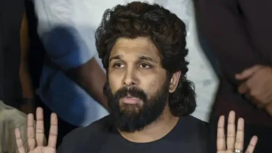 Accused of vandalizing Allu Arjun's house gets bail within 24 hours of arrest