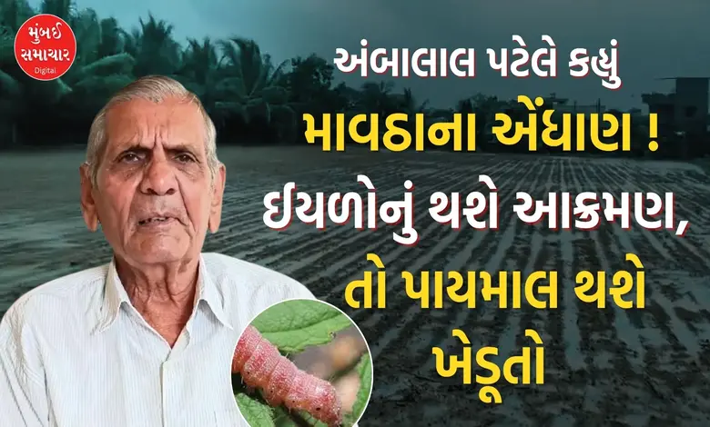 Ambalal Patel Predicts Rain Impact on Gujarat Crops