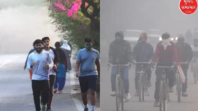 Cold weather will increase again in Gujarat, Meteorological Department made this prediction