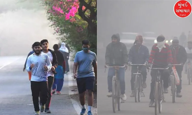 Cold weather will increase again in Gujarat, Meteorological Department made this prediction