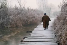 Dal Lake frozen during the coldest December night in Kashmir in 50 years