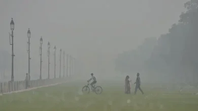 Delhi Cold increased smog And toxic air