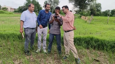 Digital crop survey starts in Gujarat today, crop cultivation survey in more than 1 crore survey numbers