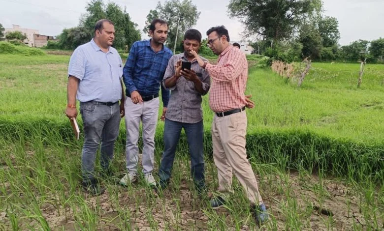 Digital crop survey starts in Gujarat today, crop cultivation survey in more than 1 crore survey numbers