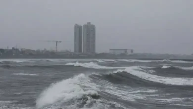 Cold wave hits Maharashtra after Cyclone Fengal