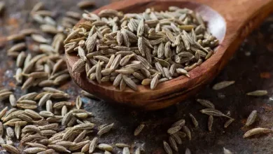 Drink this thing in water for 21 days and see the magic... Fennel