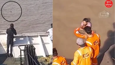 person fell into the sea on the Ghogha-Hajira Ro-Ro ferry