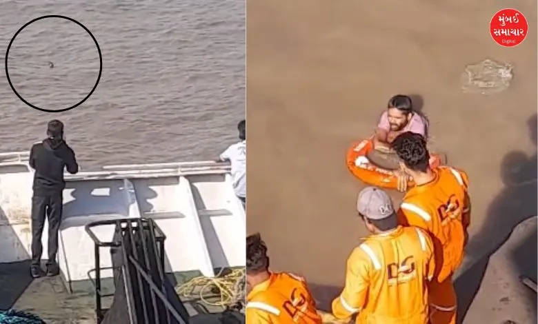 person fell into the sea on the Ghogha-Hajira Ro-Ro ferry