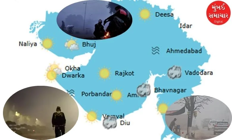 Bitter cold in Gujarat: However, Ahmedabad is still not feeling the heat