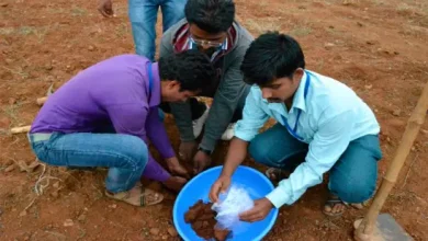 Soil Health Cards for Gujarat farmers and their creation process