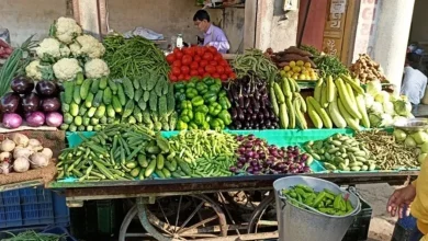 Increase in vegetable prices in Gujarat disrupts housewives' budgets