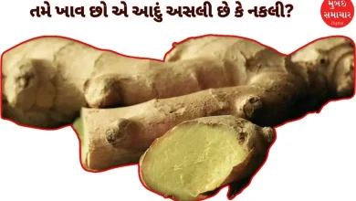 Is the ginger you are eating real or fake? It can give you a fatal disease...