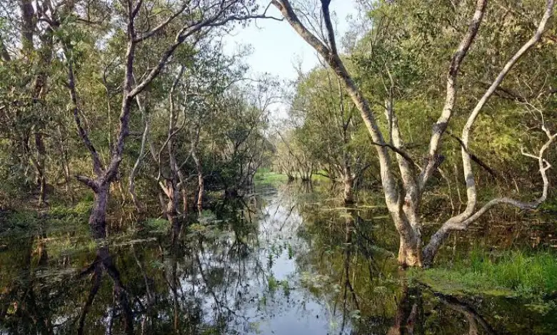 school children stranded in Katarnia wild life santuary