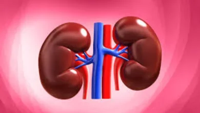 Fox Plus: Which 8 daily habits harm the kidneys