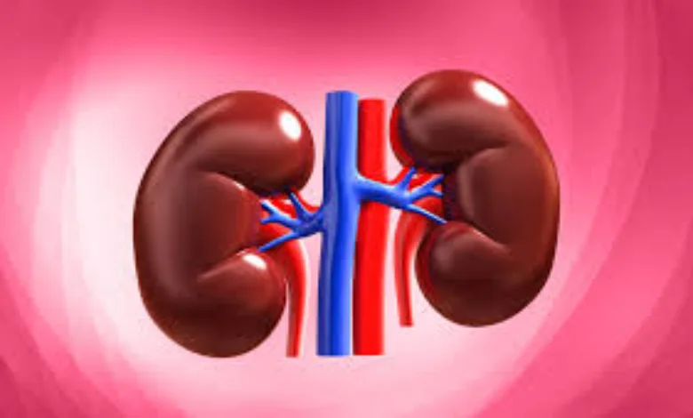 Fox Plus: Which 8 daily habits harm the kidneys