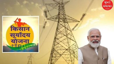 Gujarat village benefiting from Kisan Suryodaya Yojana with daytime electricity