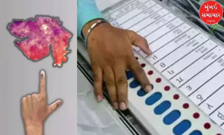 Local government elections in Gujarat likely to be held late