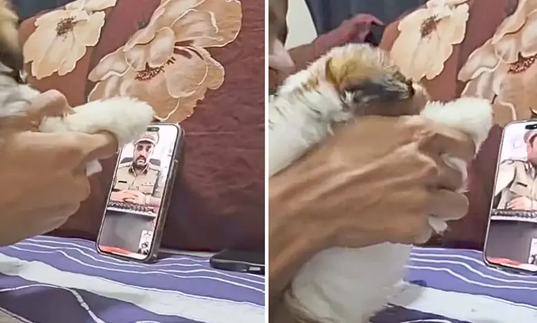 Man shows puppy to dijital arrest scamer, Mumbai